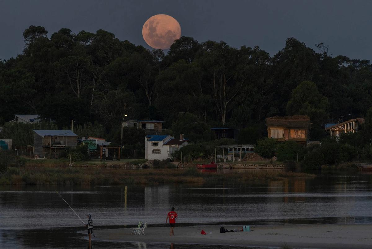 FOTO: Supermoon Wolf Moon Awali Fenomena Langit Tahun 2026