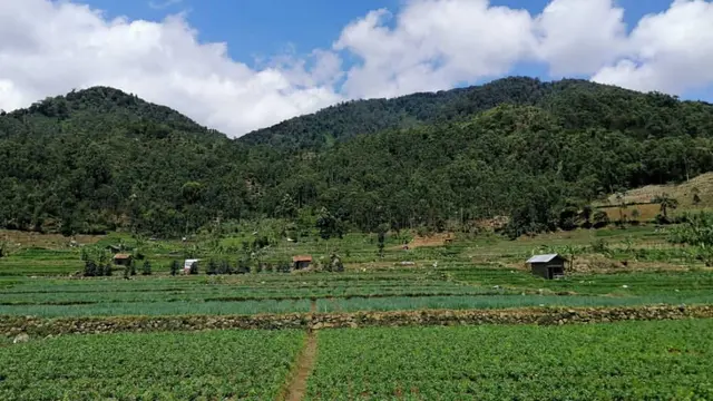 Kaki Gunung Tambakruyung berada 30 kilometer arah barat daya dari pusat Kota Bandung. (Dok: IG @jeffhasibuan https://www.instagram.com/p/CGv3nvjpAS-/?igsh=MW52ODYzNG51bGMyNQ%3D%3D)
