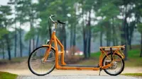 Sepeda Lopifit ini memadukan kenyamanan treadmill dan kecepatan sepeda (foto : odditycentral.com)