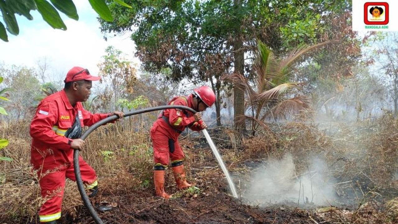 Manggala Agni Berjibaku Padamkan Karhutla Pelalawan Riau, 4 Hektare Lahan Terbakar