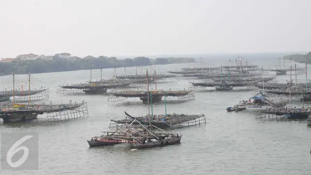 20151125-Kementerian KKP Akan Gunakan Metode Aquaculture Untuk Pasok Ikan Segar
