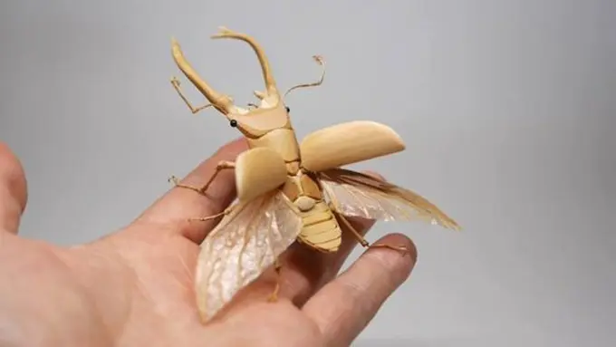 Copyright take64.wixsite.com