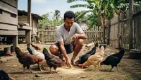 10 Pakan Ayam Kampung Umur 2 Bulan agar Cepat Gemuk, Lengkap dengan Cara Pemberiannya