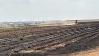 Asap Kebakaran Picu Kecelakaan Maut, Perkebunan Tebu Disegel