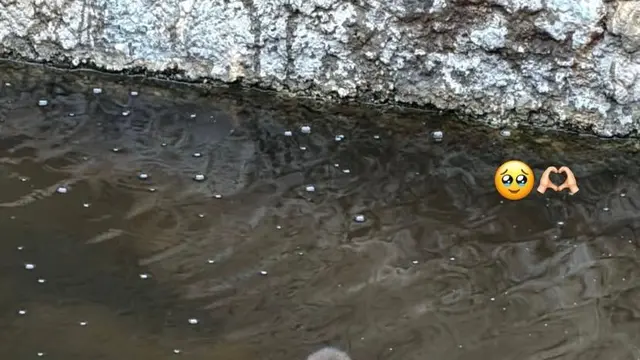 Gaya Santai Lisa BLACKPINK Curi Perhatian Saat Mengunjungi Baby Punch Sambil Membawa Boneka