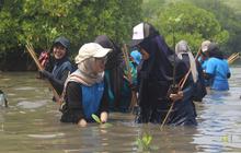 Tembus Times Higher Education Impact Rankings, Bukti Komitmen Universitas Pertamina Pada Pembangunan Berkelanjutan