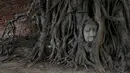 Sebuah kepala patung Buddha terlihat di antara akar pohon di kuil Wat Mahathat, Ayutthaya, Thailand (25/12/2015). Patung ini menjadi daya tarik tersendiri karena tidak ditemukan sisa bagian tubuh di sekitar pohon. (REUTERS/Jorge Silva)