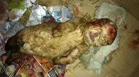 Geger, Anak Kambing Berwajah Mirip Manusia