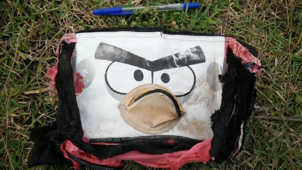 Penemuan dompet diduga milik penumpang MH370.