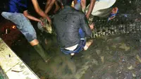 Banjir di Pematangsiantar, 18 Buaya Lepas dari Penangkaran