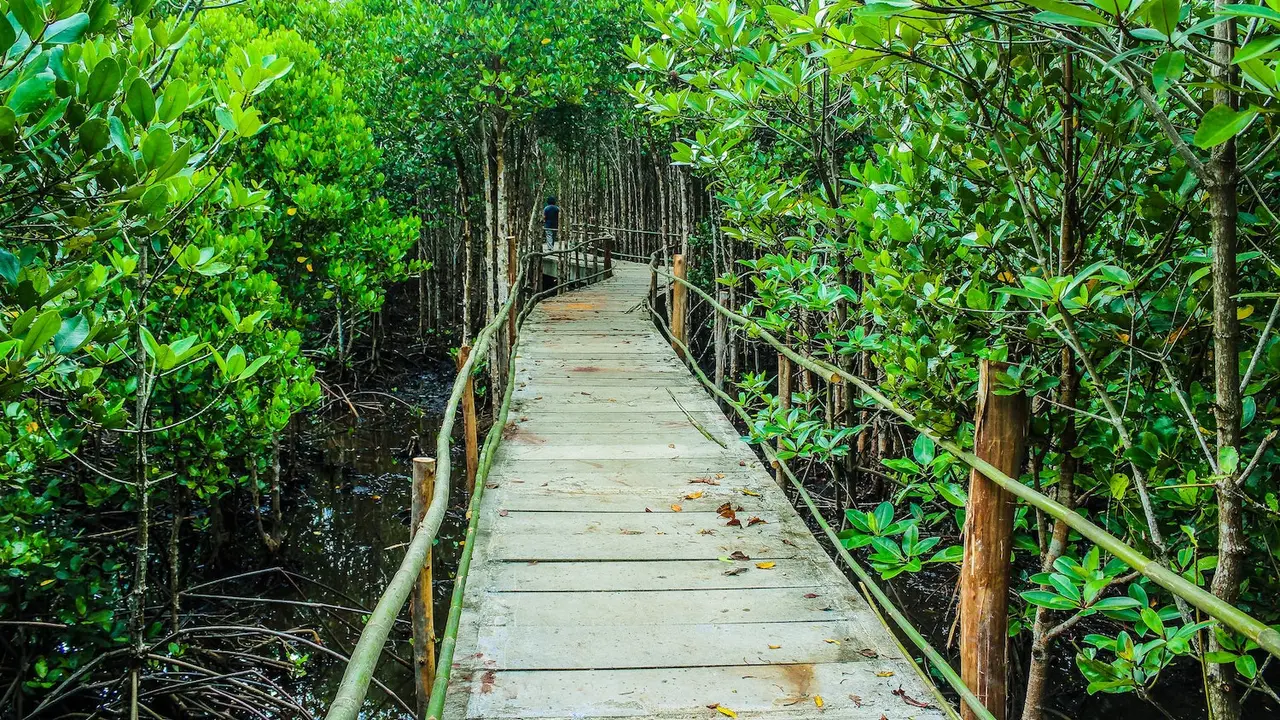 Taman Wisata Mangrove, Jakarta Utara