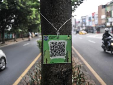 Pengendara motor melintasi pohon yang terpasang "QR code" di Jalan Ir H Juanda, Depok, Jawa Barat, Minggu (27/11/2022). Pemerintah Kota Depok memasang "QR code" pada 1.500 pohon perindang di Jalan Margonda Raya dan Jalan Ir H Juanda dengan total anggaran Rp49 juta untuk mengedukasi warga dengan informasi berupa nama pohon, nama ilmiah, umur maksimal, tinggi, lokasi, daya serap CO2 dan kode pohon untuk pendataan. (merdeka.com/Iqbal S. Nugroho)