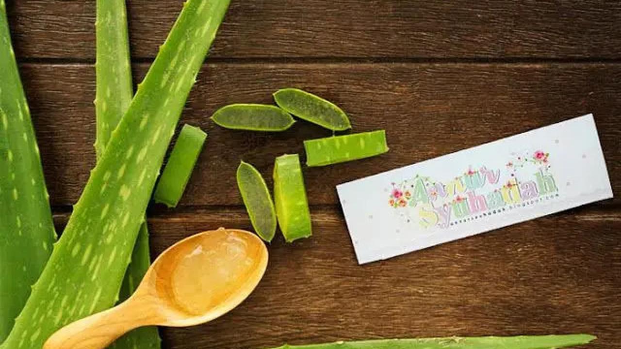 Cara Praktis Membuat Masker Lidah Buaya untuk Kulit Cantik dan Sehat