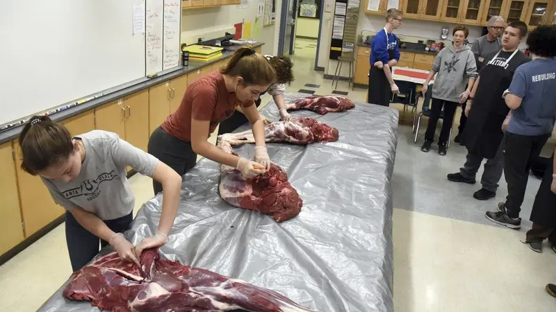 Murid Alaska mengolah daging rusa di sekolah.