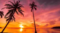 Ilustrasi sunset. (Image by lifeforstock on Freepik)