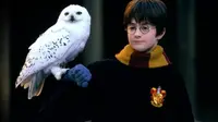 Wajah kecil Daniel Radcliffe dan ekspresinya yang sudah pasti bikin kamu gemas. (Warner Bros.)