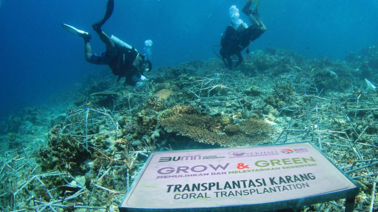 BRI melalui aktivitas Corporate Social Responsibilty (CSR) BRI Peduli Grow &amp; Green berkomitmen mendukung dan menjaga ekosistem dengan biodiversitas laut yang tertinggi dibanding ekosistem laut lainnya, melindungi pantai dan daerah pesisir, serta mengu