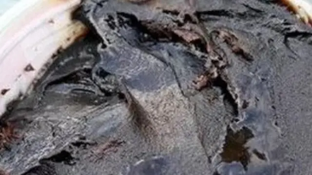 6 Oleh-Oleh Khas Boyolali, Hasil Olahan Susu dan Daging Sapi