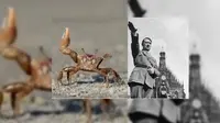 'Kepiting Hitler' Hebohkan Netizen (buzzfeed)