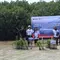 Hari Mangrove Sedunia, 2.500 Bibit Ditanam di Pulau Pramuka