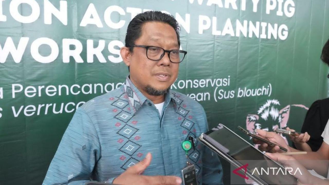 Kementerian Kehutanan Dukung Konservasi Babi Kutil Endemik Indonesia
