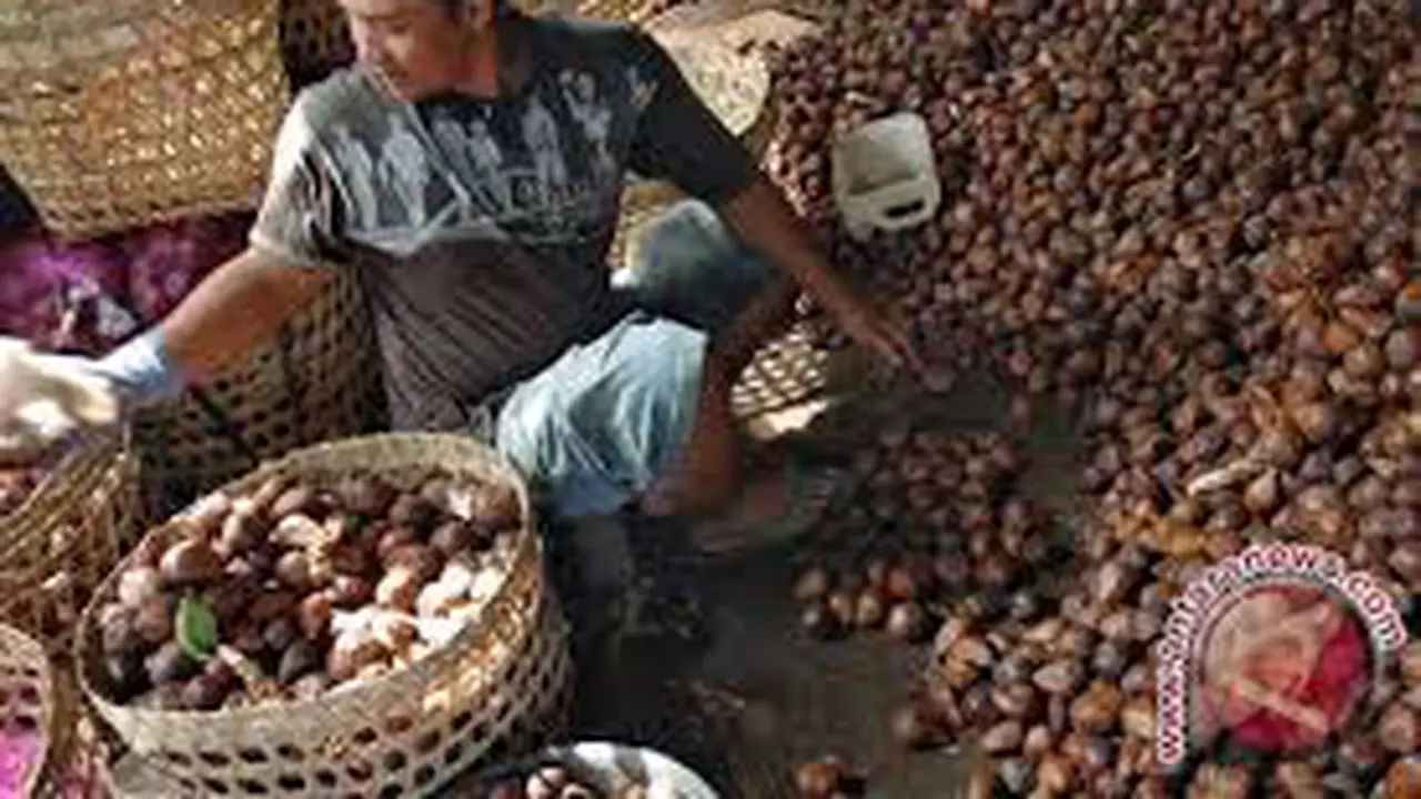 Buah salak