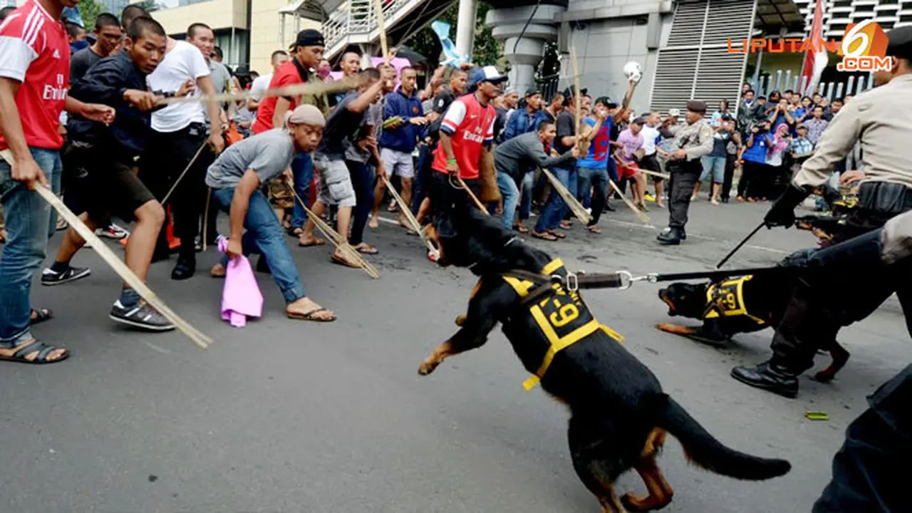 anjing-pelacak-140211b.jpg