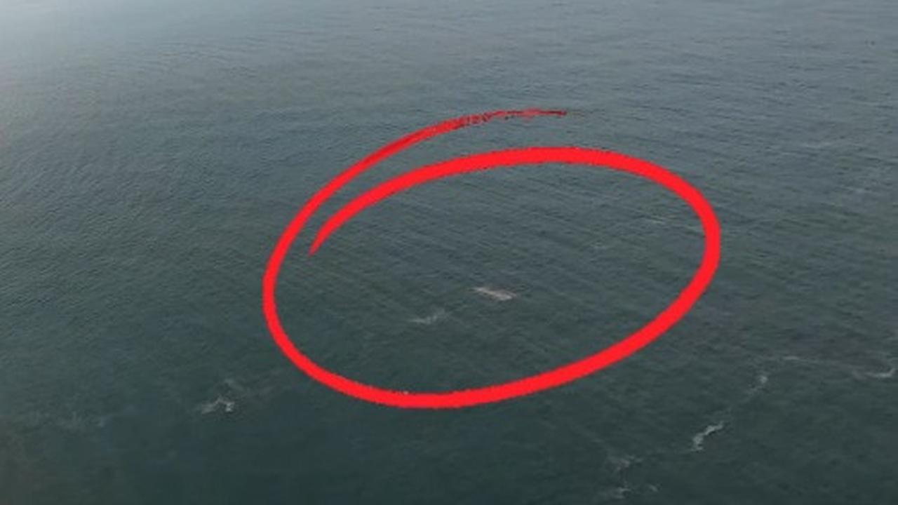 Andrea Ramadhan Sisir Anak Krakatau Pakai Drone, Netizen Soroti Warna Putih di Video