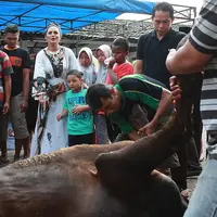 Penyanyi Krisdayanti pada Idul Adha tahun ini, kurban seekor sapi dan kerbau. Diva pop Indonesia itu menyerahkan sapi kurbannya di masjid dekat kediamannya di kawasan Jeruk Purut. (Bambang E. Ros/Bintang.com)