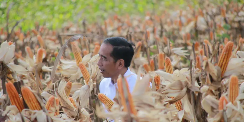 Presiden Joko Widodo (Jokowi)