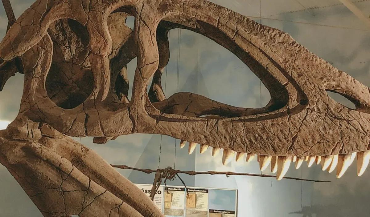 Cox menyatakan bahwa lingkungan yang menyebabkan kepunahan dinosaurus ini dapat tercipta hanya dari aktivitas vulkanisme, tanpa adanya asteroid.