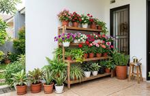10 Cara Memanfaatkan Sudut Rumah Menjadi Taman Mini yang Adem dan Cantik