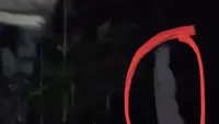 Geger Penampakan Diduga Pocong di Sukabumi, Begini Faktanya
