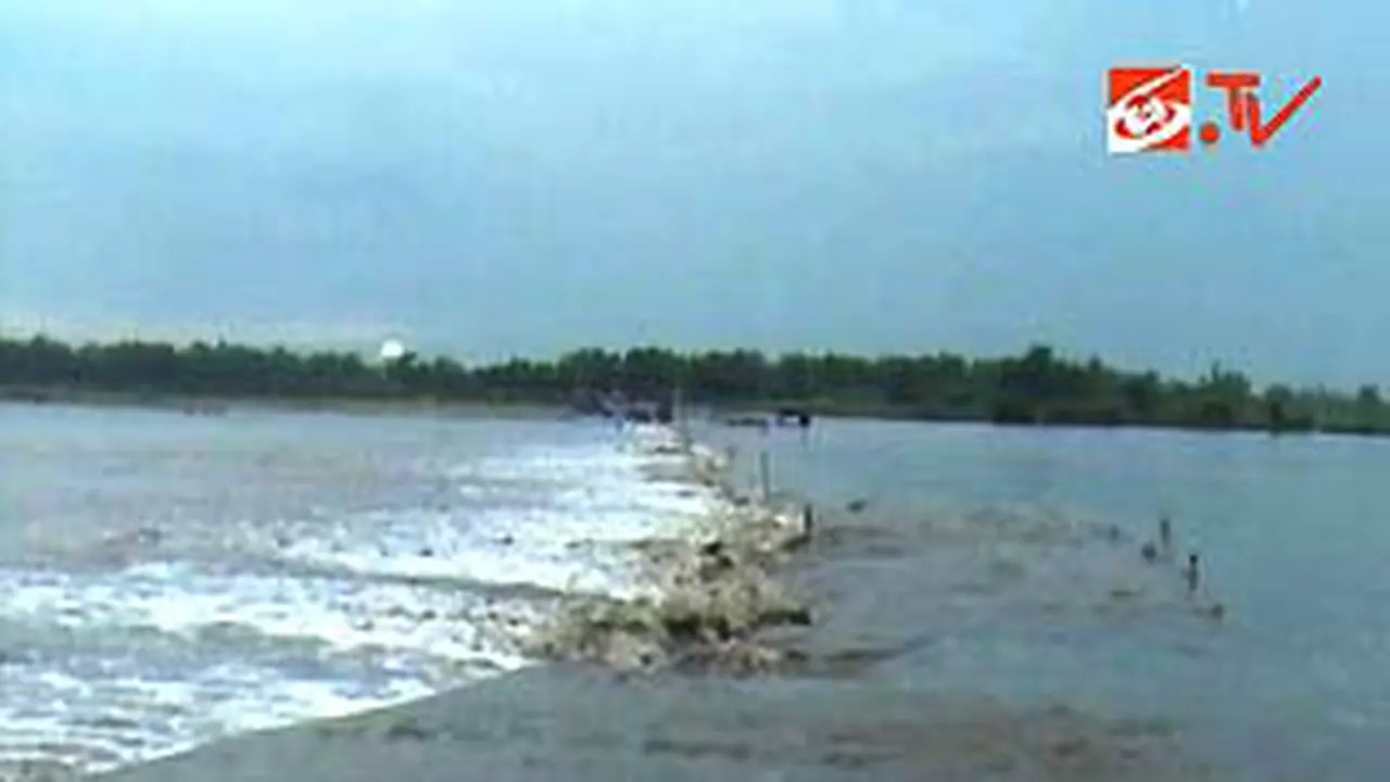 101223dlapindo.jpg