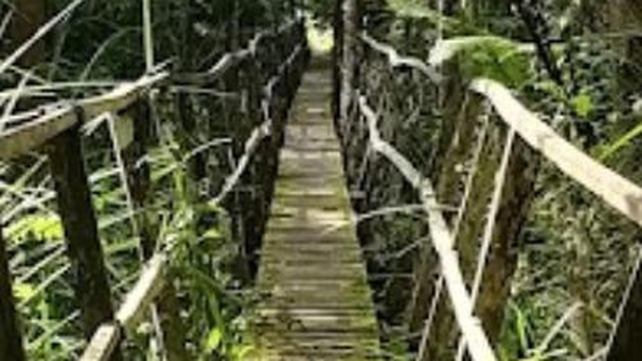 8. Hutan Lindung Sungai Wain<br>