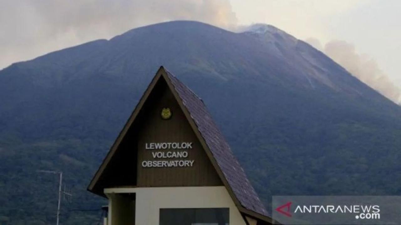 Aktivitas Erupsi Ile Lewotolok Meningkat Tajam, Capai Ribuan Kali dalam Dua Pekan