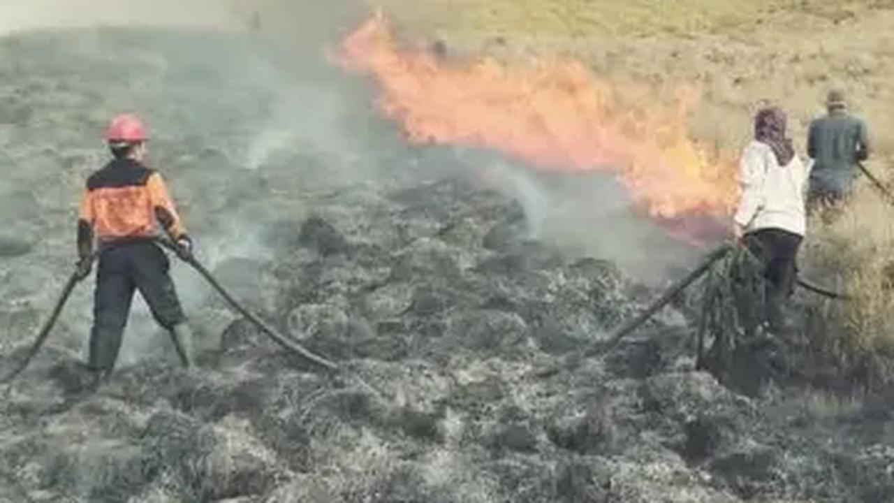 Update Kebakaran Gunung Bromo, Berikut Titik Api yang Belum Padam