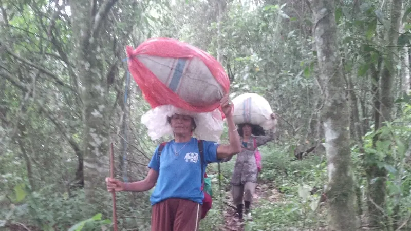 Kisah Pemburu Flora Endemik Argopuro