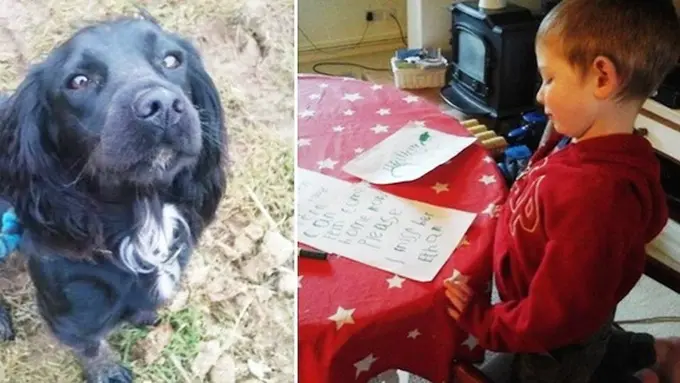 Photo: Copyright alitedaily.com