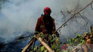 Kaltim Dikepung Api, 9.861 Titik Panas Terdeteksi