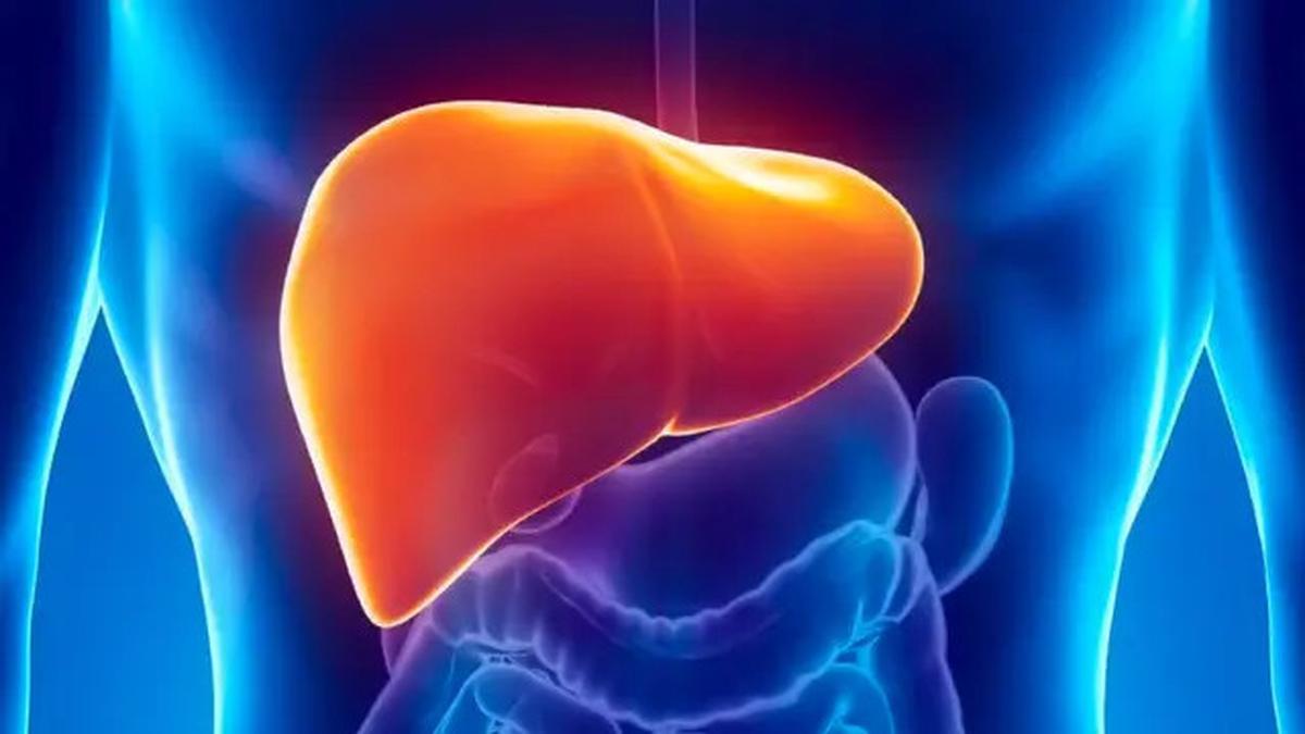 7 Khasiat Minyak Zaitun untuk Pria, Rahasia Sehat dari Mediterania