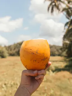 4 Rekomendasi Negara Tropis yang Wajib Dikunjungi Saat Musim Panas./copyright. pexels/