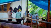 Waspada Pencurian Hewan Kurban Jelang Idul Adha