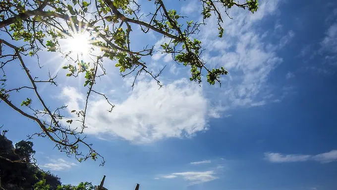 [Bintang] Jawa Timur