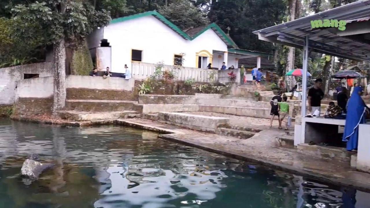 Berenang di Kolam Purba