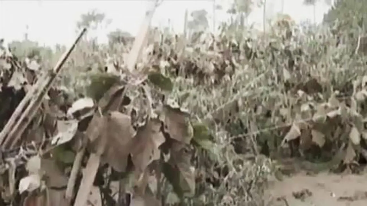 VIDEO: Kawasan Zona Merah Sinabung Berlapis Debu Tebal