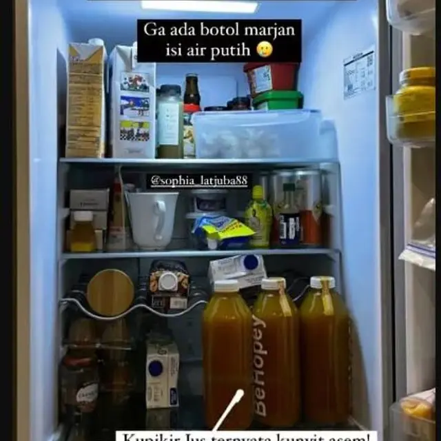 Minuman yang Dikonsumsi Sophia Latjuba,Bikin Tubuh Fit dan Berat Badan Stabil