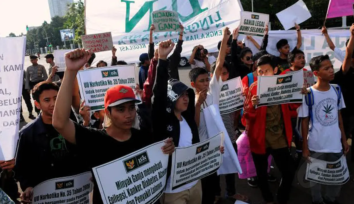 Massa membawa sejumlah sepanduk yang salah satunya bertuliskan khasiat ganja untuk  mengobati beberapa penyakit  (Liputan6.com/Faisal R Syam)