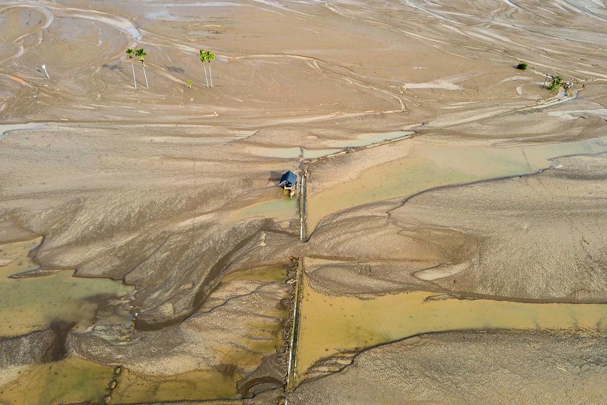 FOTO: Ribuan Hektare Sawah Terkubur Lumpur, Upaya Pemulihan Dikebut Pemerintah