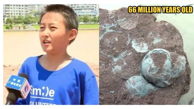 Tak Terduga, Bocah Ini Temukan 11 Telur Dinosaurus Ketika Bermain di Tepi Sungai